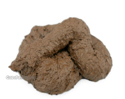 Fake Poop 1