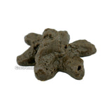 Fake Poop Version 2