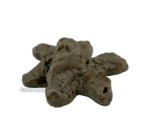 Fake Poop Version 2