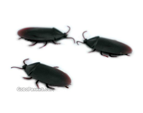 Fake Roaches
